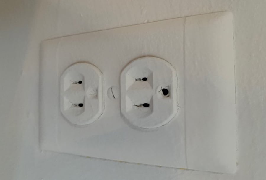 painted outlets lg