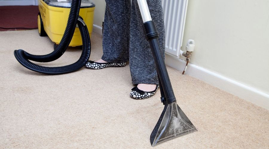 The Fastest 12 Ways To Get Rid Of Fleas In The Carpet - Home Inspection ...