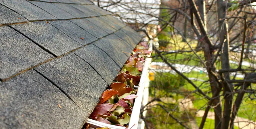 Do You Need Gutters Cleaning?