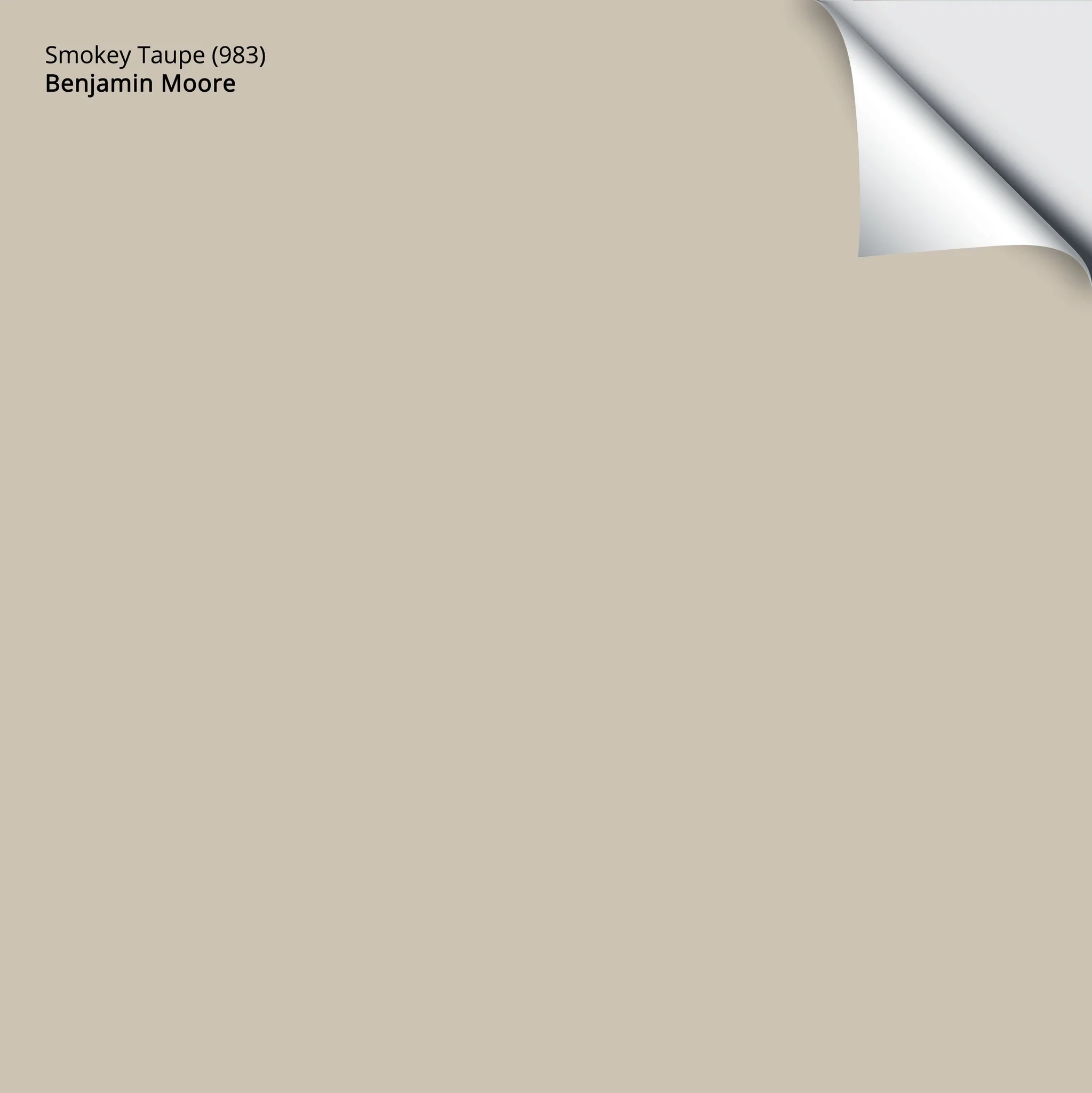 Smokey Taupe (983) | Benjamin Moore | Samplize Peel and Stick Paint Sample