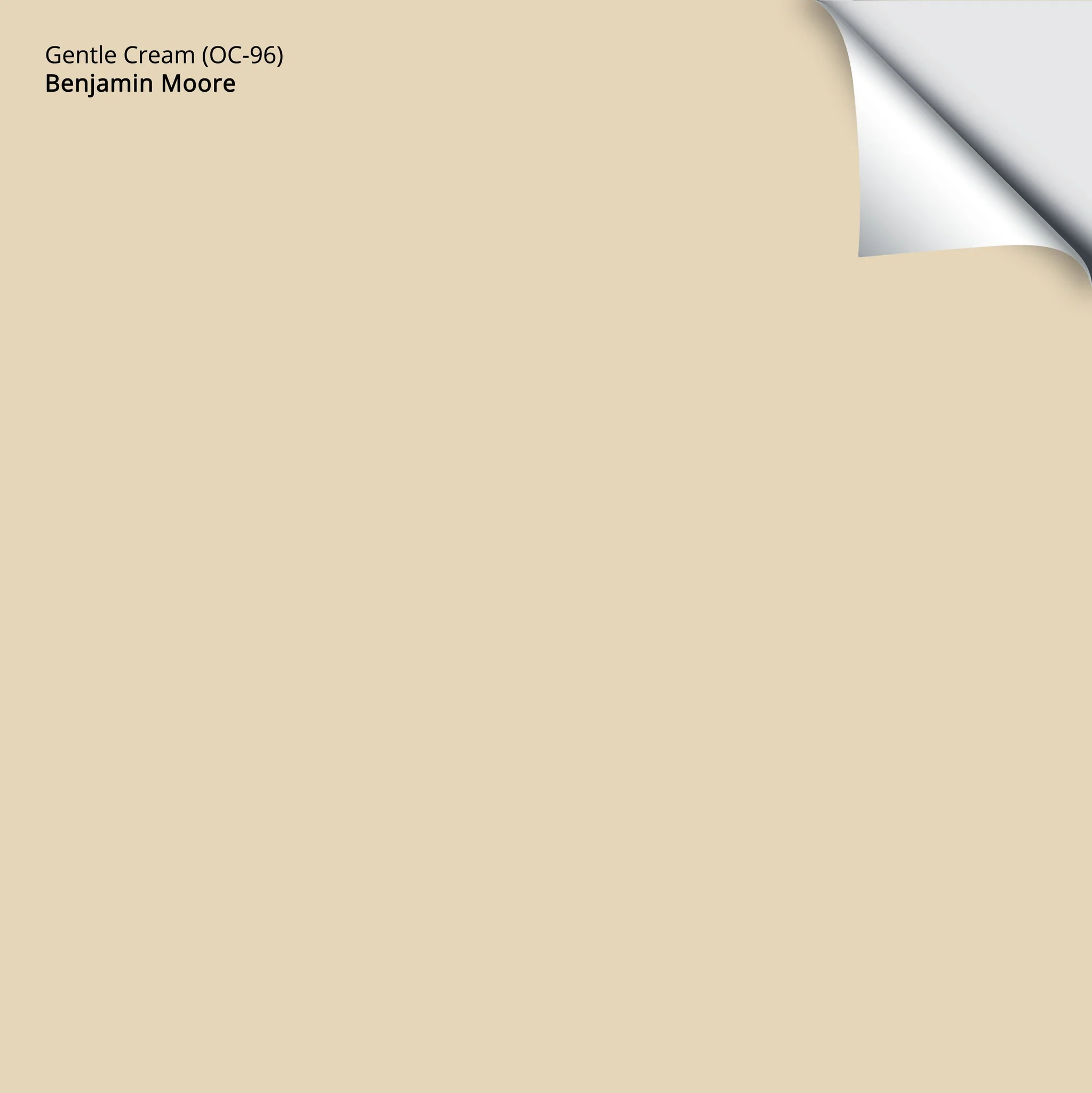 Gentle Cream (OC-96) | Benjamin Moore | Samplize Peel and Stick Paint Sample