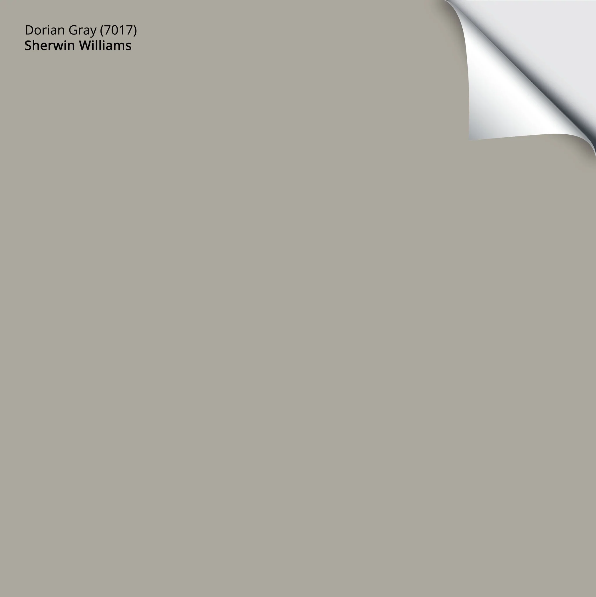 Dorian Gray (7017) | Sherwin-Williams | Samplize Peel and Stick Paint Sample