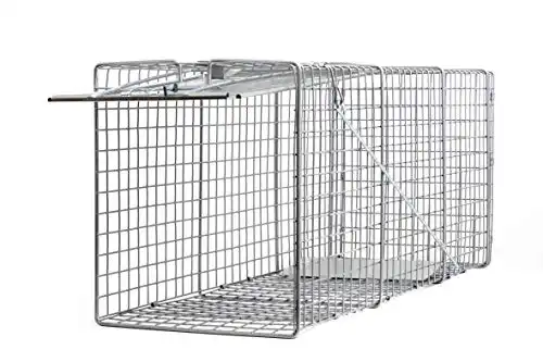 Animal Trap (32"x10"x12") - Best Humane Animal Trap for Gophers, Opossums, Groundhogs, Beavers and Other Similar Sized Animals. Easy Trap Catch & Release cage with 1-Door by LifeSup...