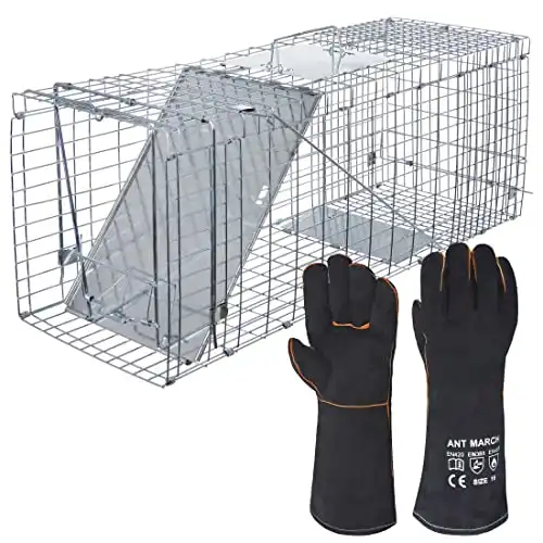 ANT MARCH Live Animal Cage Trap 32''x11.5"x13" Steel Humane Release Rodent Cage Iron Door for Rabbits, Stray Cat, Squirrel, Raccoon, Mole, Gopher, Opossum, Skunk, Chipmunks, Ground...