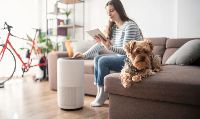 woman and pet setting up the best air purifier for large rooms