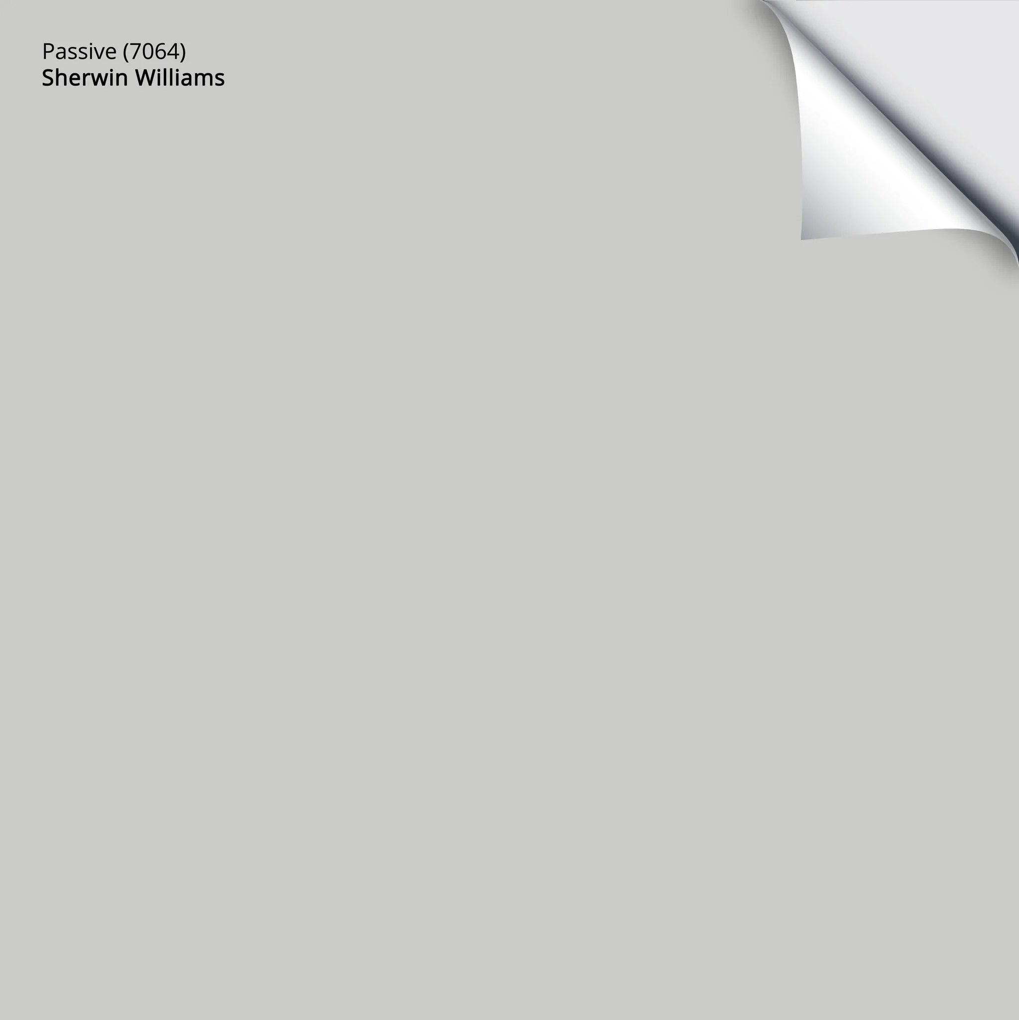 Passive (7064) | Sherwin-Williams | Samplize Peel and Stick Paint Sample