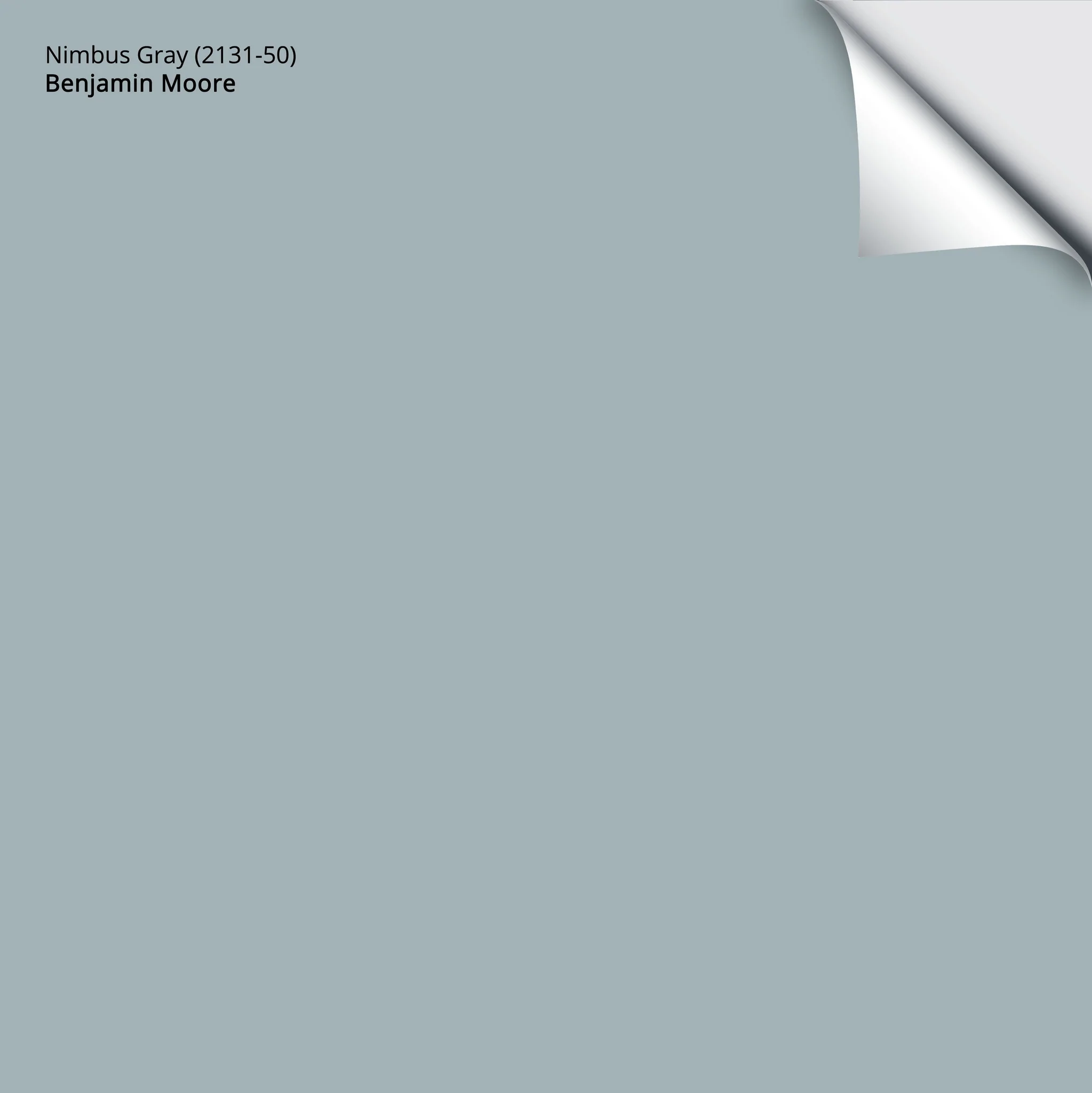 Nimbus Gray (2131-50) | Benjamin Moore | Samplize Peel and Stick Paint Sample