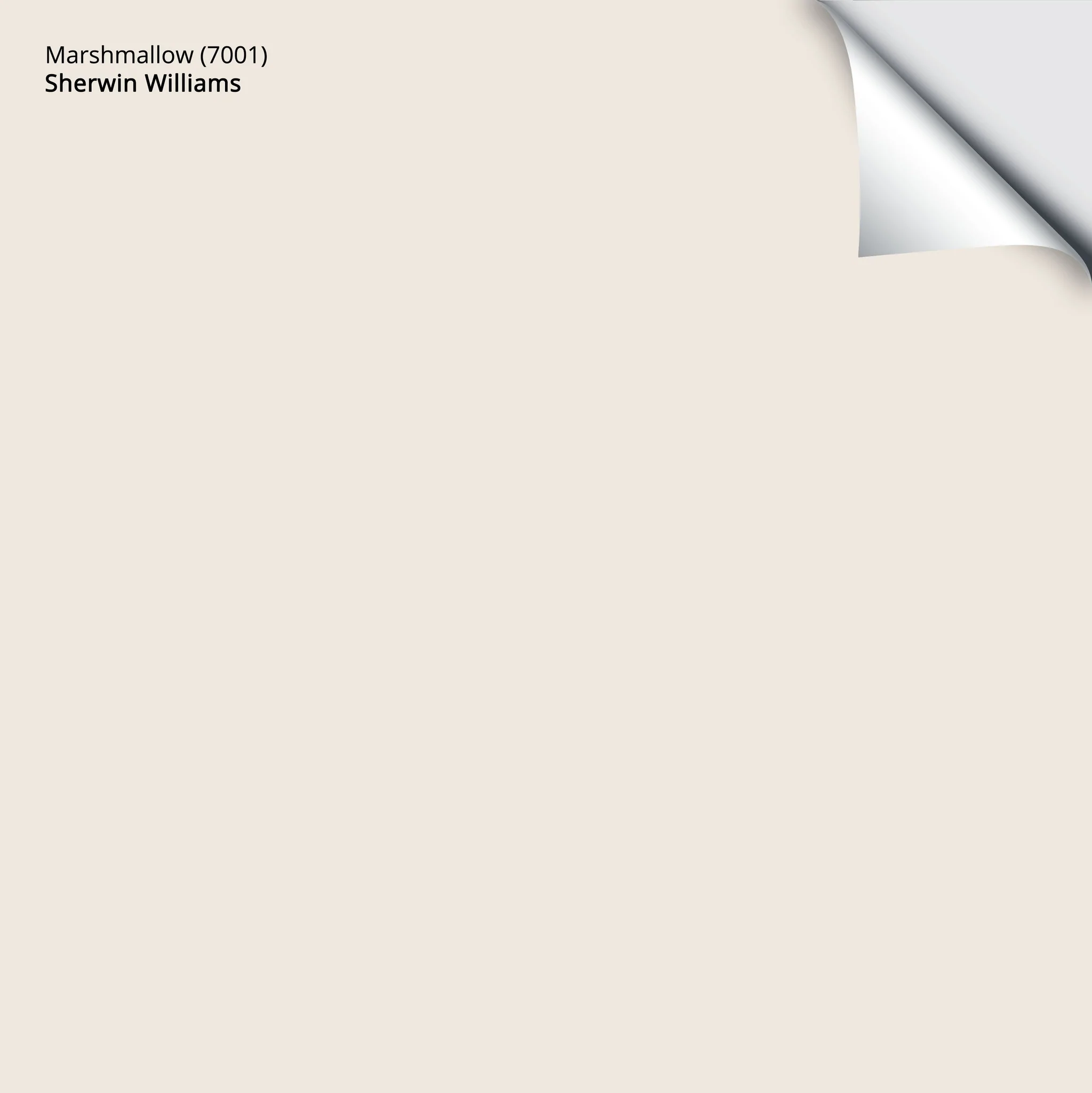Marshmallow (7001) | Sherwin-Williams | Samplize Peel and Stick Paint Sample