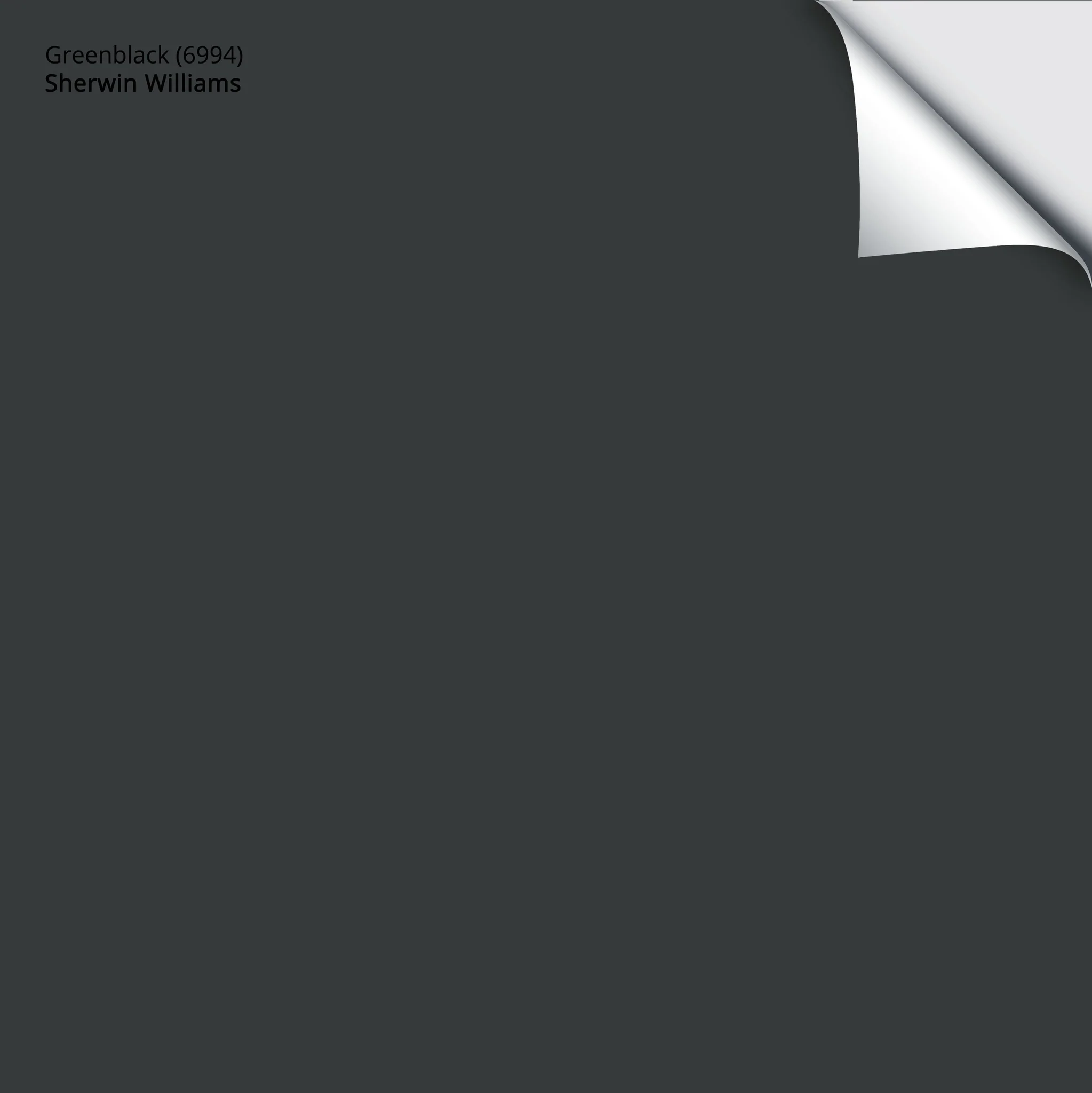 Greenblack (6994) | Sherwin-Williams | Samplize Peel and Stick Paint Sample