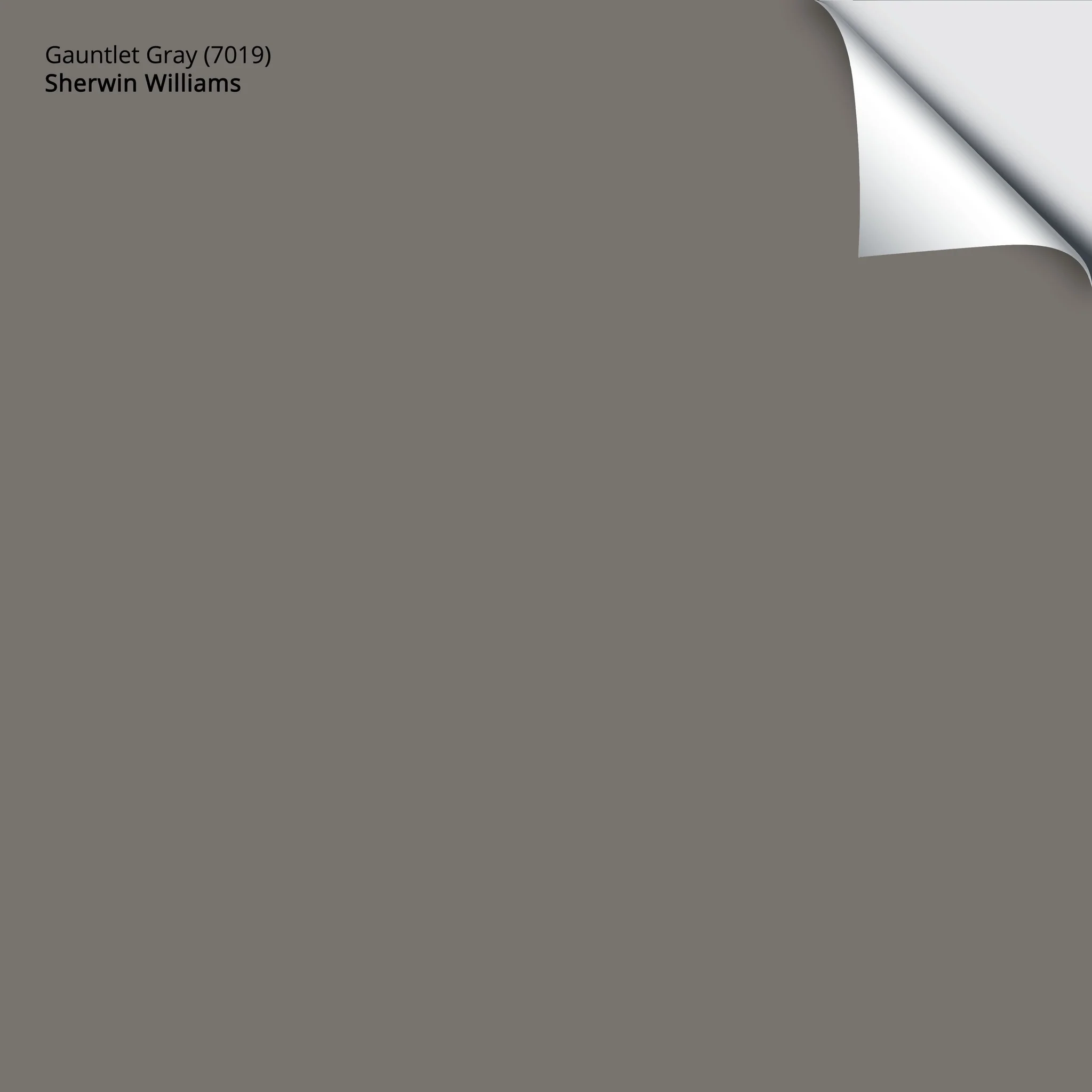 Gauntlet Gray (7019) | Sherwin-Williams | Samplize Peel and Stick Paint Sample