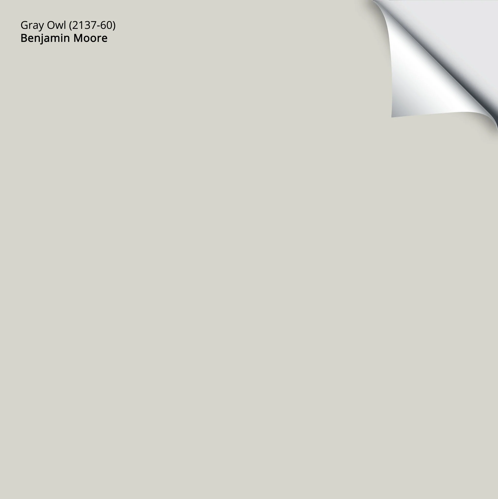 Gray Owl (2137-60) | Benjamin Moore | Samplize Peel and Stick Paint Sample
