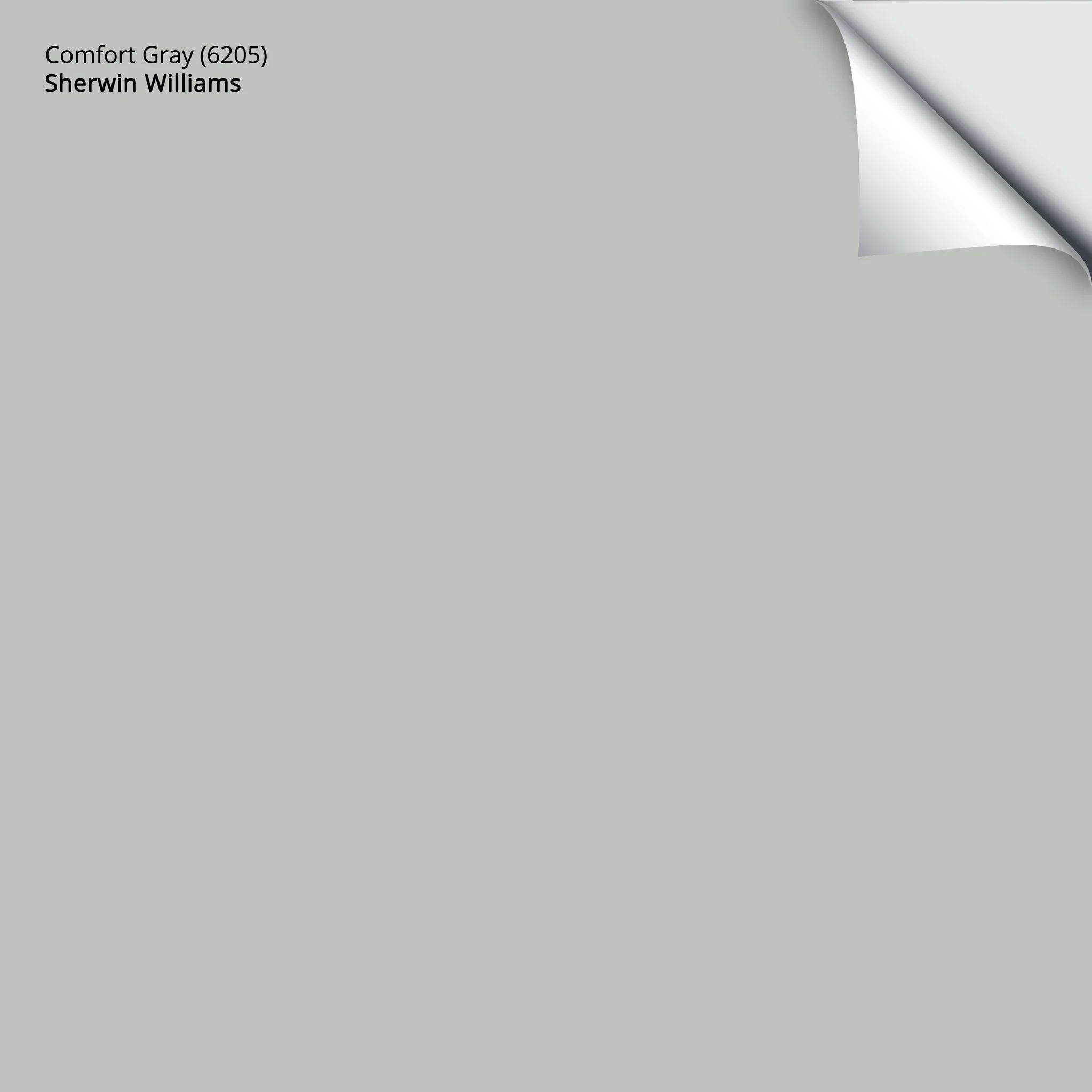 Comfort Gray (6205) | Sherwin-Williams | Samplize Peel and Stick Paint Sample