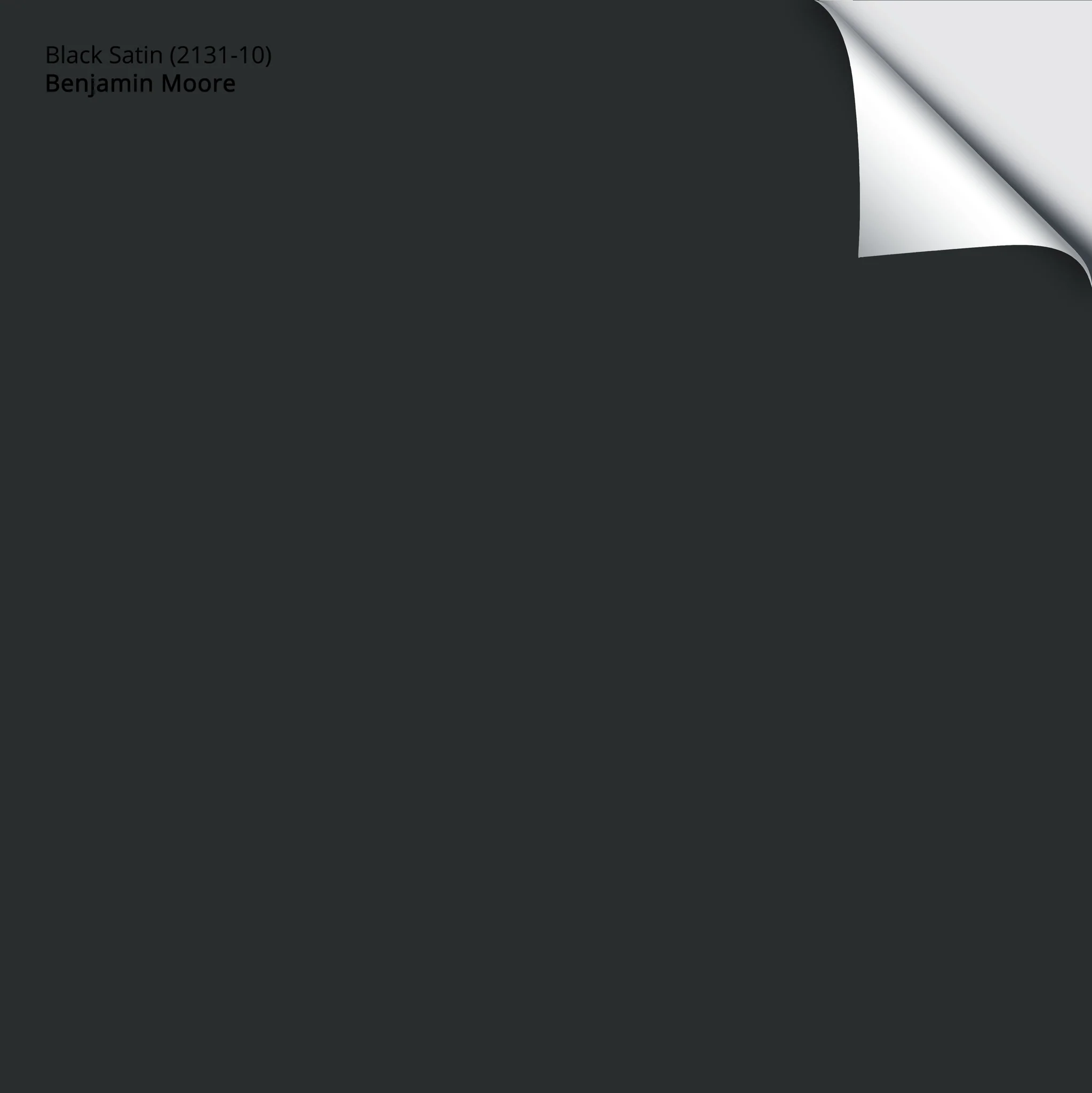 Black Satin (2131-10) | Benjamin Moore | Samplize Peel and Stick Paint Sample