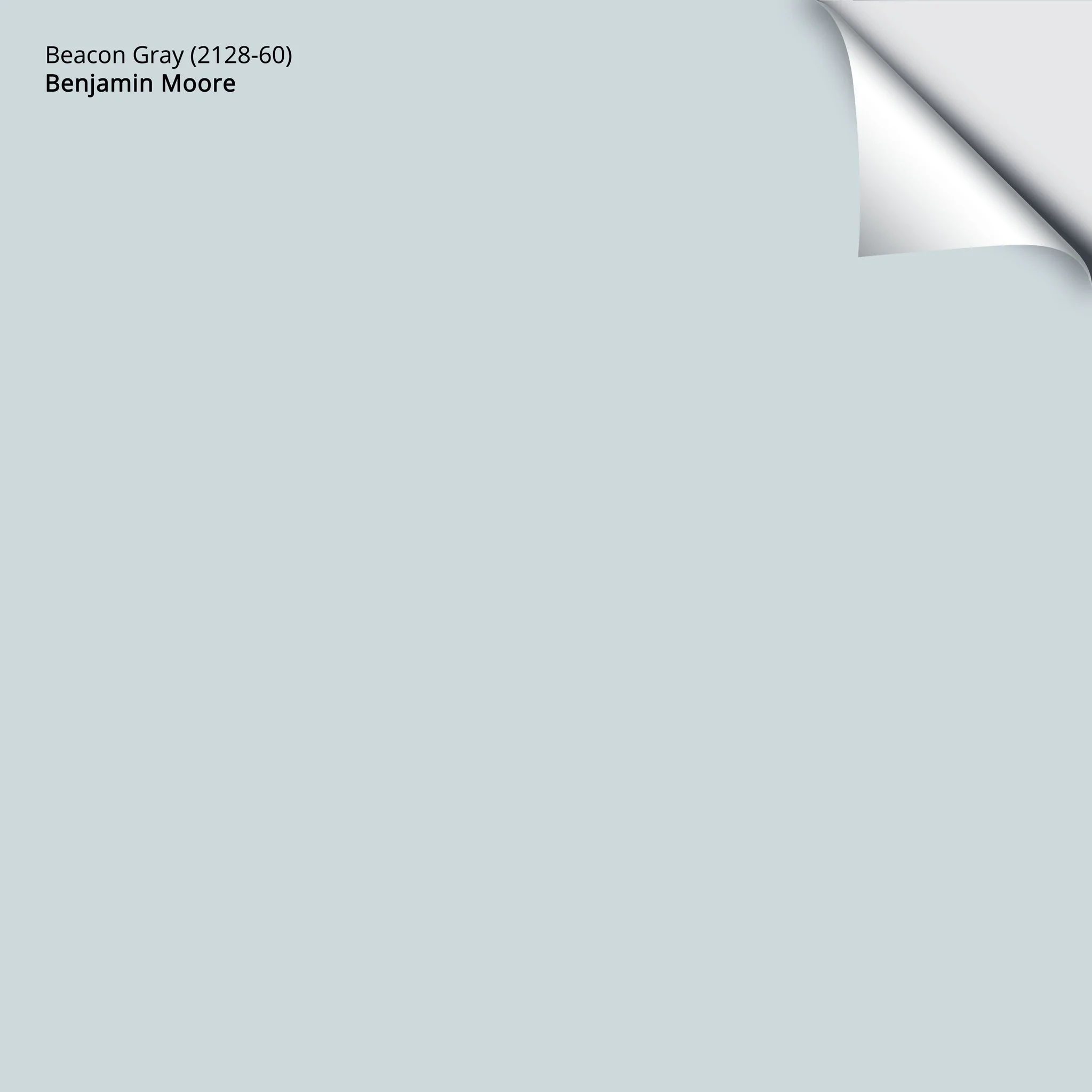 Beacon Gray (2128-60) | Benjamin Moore | Samplize Peel and Stick Paint Sample