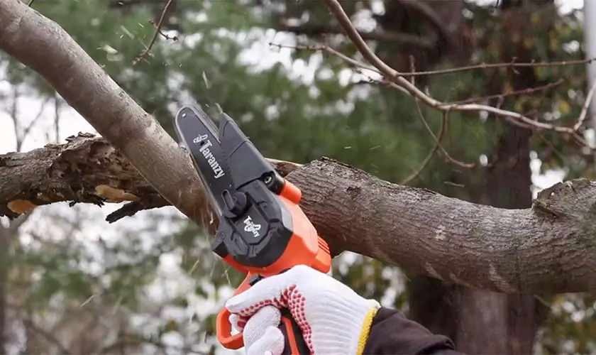 small chainsaw
